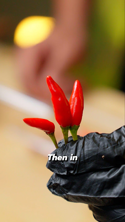 Peri Peri Sauce 🥵