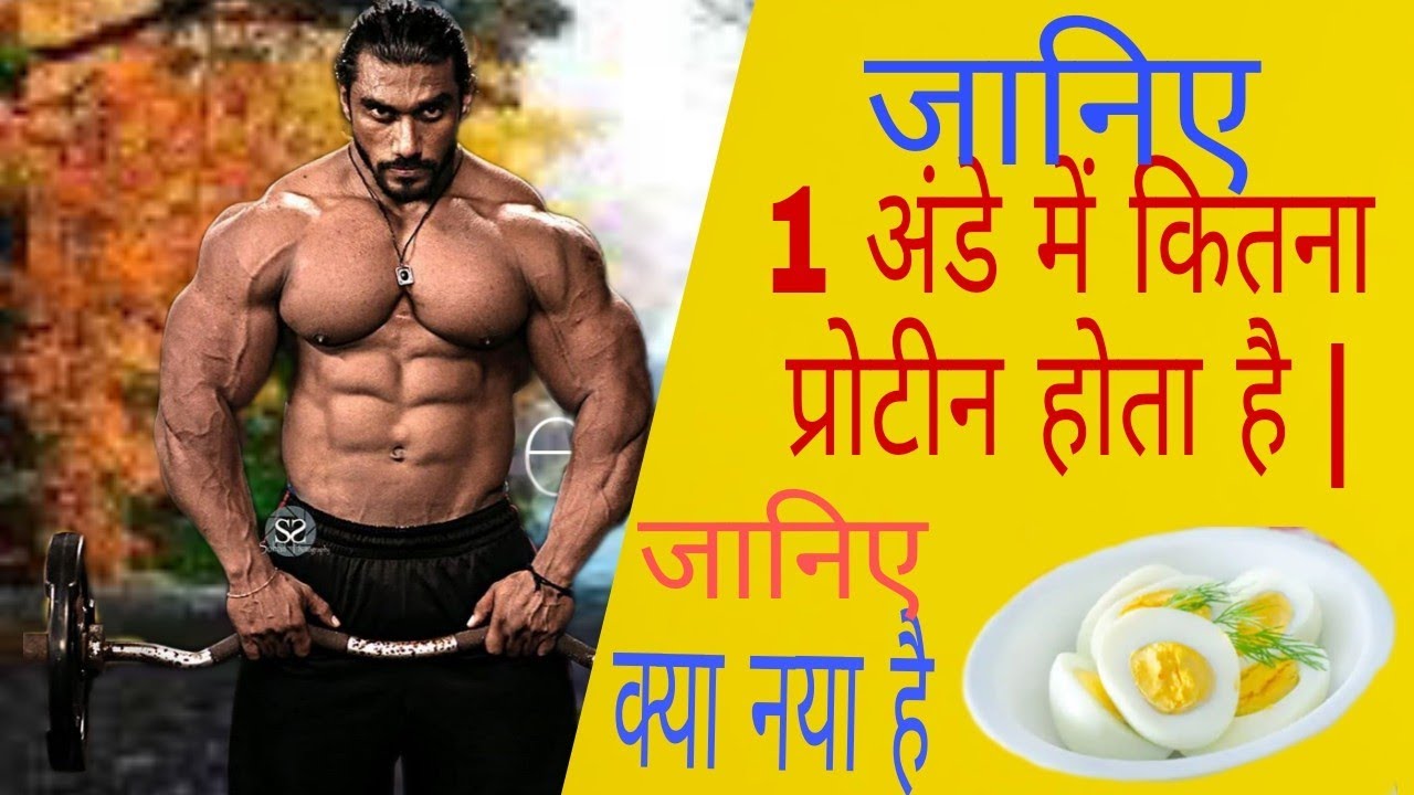 1 अंडे में कितना प्रोटीन होता है Ek Egg me Kitne Gram Protein hota