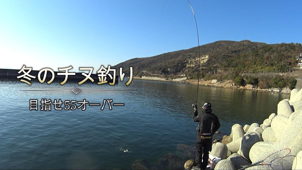 冬のチヌ釣りは、サシ餌をゆっくり落として！