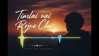 Timlai nai Rojne Chu new Nepali song❤️❤️best  Nepali song 