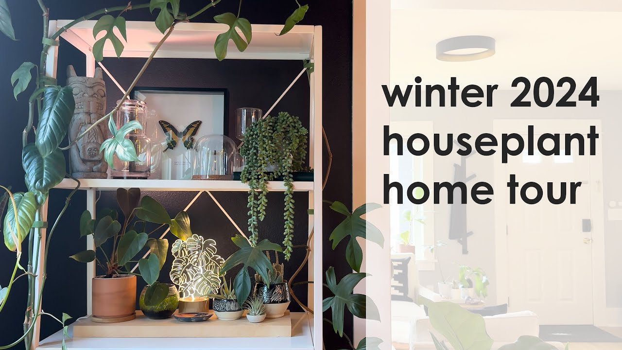 Winter 2024 Houseplant Home Tour - YouTube