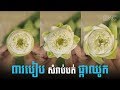 ៣របៀប សំរាប់បត់ផ្កាឈូក | 3 ways to fold a lotus flower
