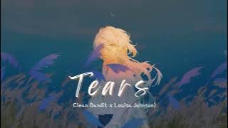 Download lagu Vietsub | Tears - Clean Bandit, Louisa Johnson | Lyrics Video