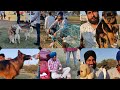 Dog Market outside Dog Show | सबसे सस्ता डोग मार्केट | Puppies Available at Low Price | Doggyz World