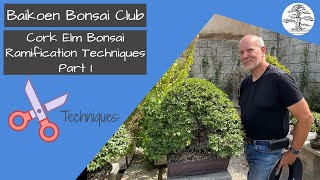 Cork Elm Bonsai Ramification Techniques - Michael Roberts - Technique - Baikoen Bonsai Club Wealth