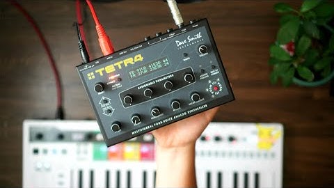 Dave Smith TETRA // The Tiniest 4 Voice Analog Poly Synth! [ Ep. 19 ]