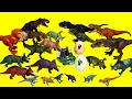 공룡 티렉스 뽈공룡 트리케라톱스 나수토케라톱스 시노케라톱스 T-rex &amp; Horned dinosaurs