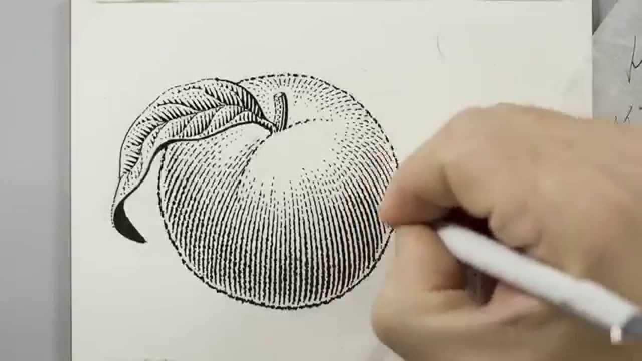 Scratchboard Illustration of a Peach for Jam Label