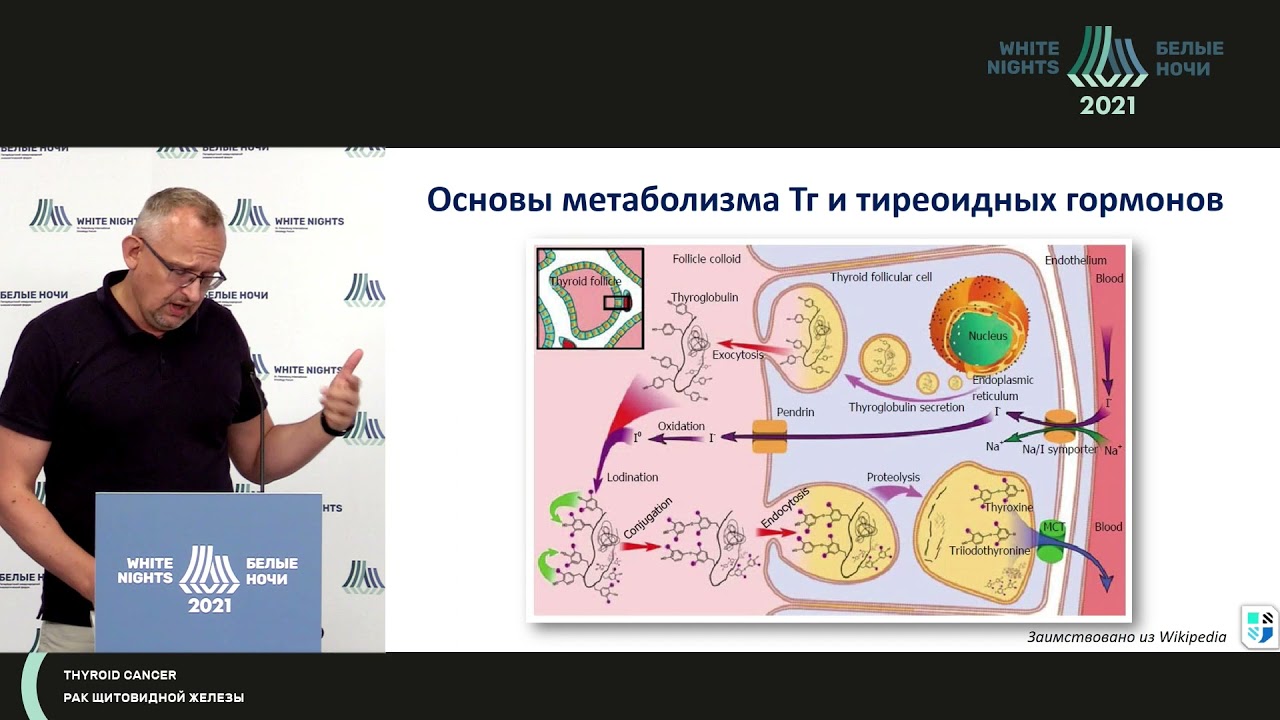 Онкомаркеры крови при дифференцированном раке щитовидной железы (Румянцев П.О.)
