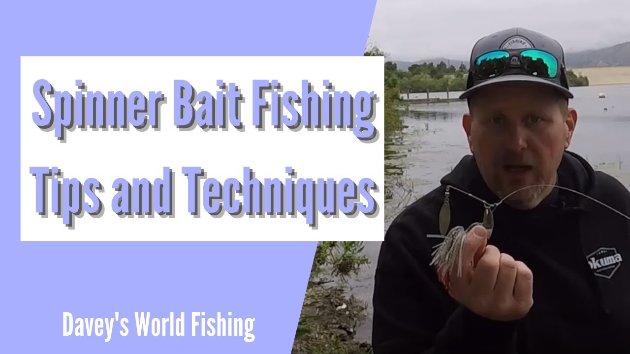 Spinner Bait Fishing Tips and Techniques