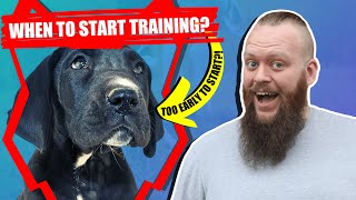 When Should I Start Training My GREAT DANE PUPPY? by Fenrir Great Dane Show 2,099 views 3 years ago 4 minutes, 41 seconds