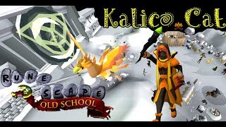 Kalico Cat OSRS Wintertodt Guide for Beginners