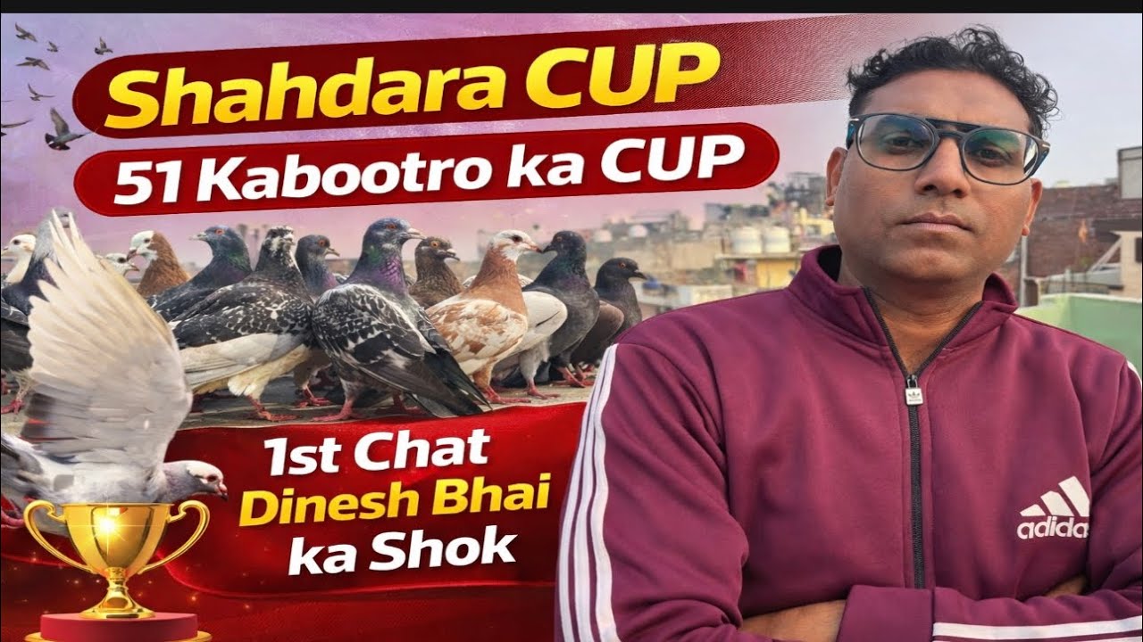 51 Kabootar ka ( CUP ) 1st Chat || Dinesh Bhai ka Shok || 18 January 2026 