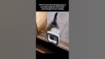 POV: Your First Strategy Game