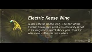 Electric Keese Wing | Farming Location | Zelda BOTW