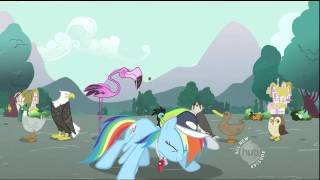 Qualities That Rainbow Dash Looks For In A Pet