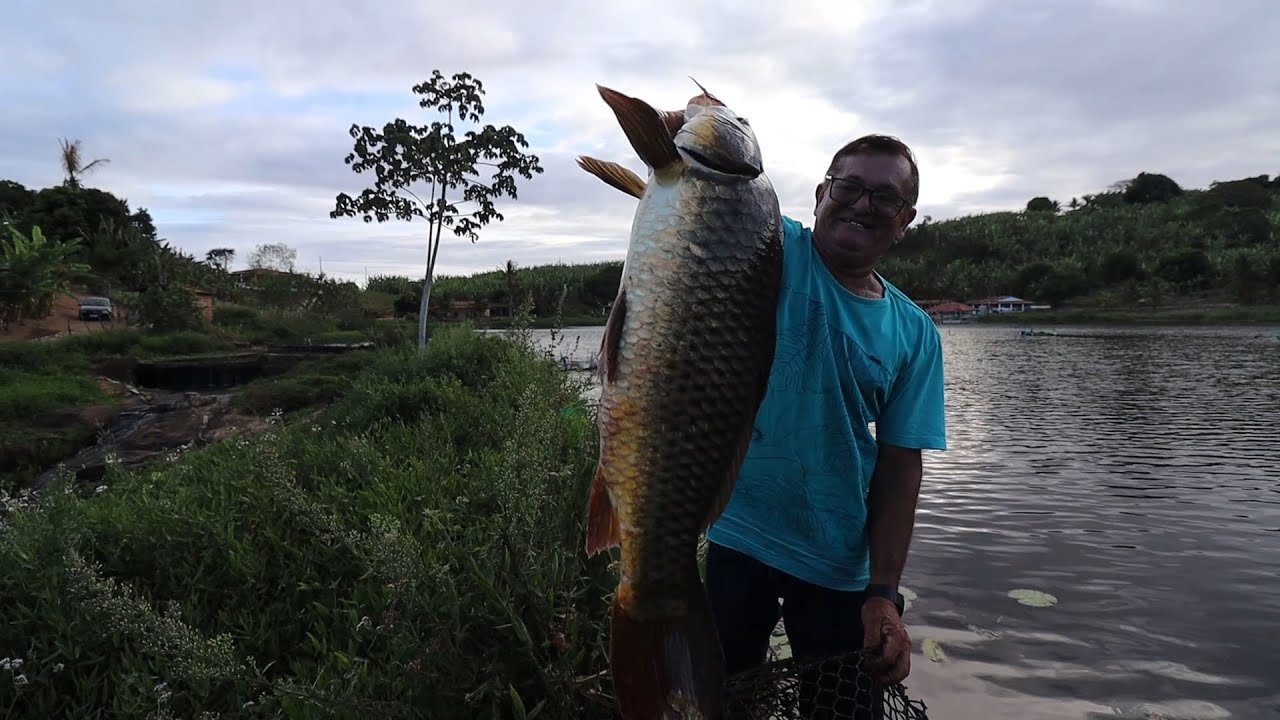 PEGANDO UMA CARPA GIGANTE NO COVO
