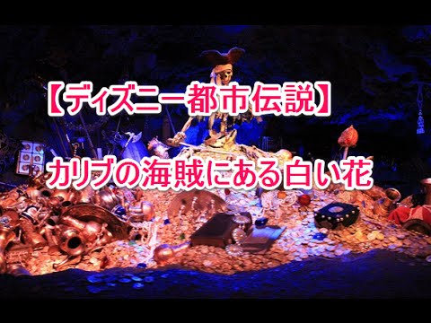 ディズニー都市伝説 カリブの海賊にある白い花 Youtube