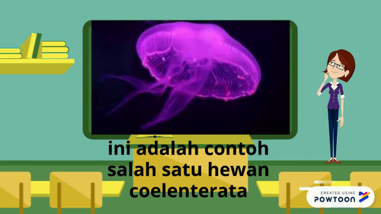 10+ Hewan coelenterata information