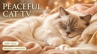 24 HOURS LIVE Calming Music for Cats 🐈 Peaceful Cat TV & Quiet Comfort screenshot 5