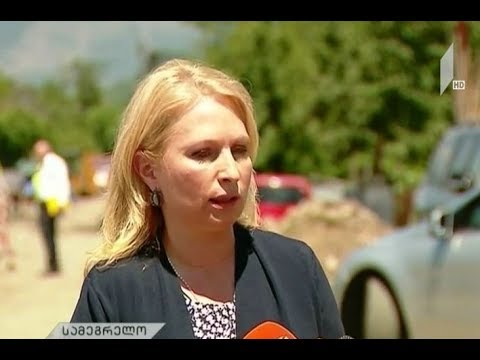 ნათია თურნავას განცხადება ფოთის პორტთან დაკავშირებით