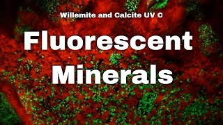 Willemite and Calcite UV C Fluorescent Mineral Display Demonstrations With Willemite Uv Light