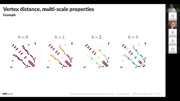 Topological Data Analysis for Machine Learning IV: Recent Advances in Topological Machine Learning