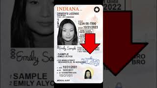 Problem with Indiana driver's licenses