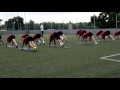 Football Stretching