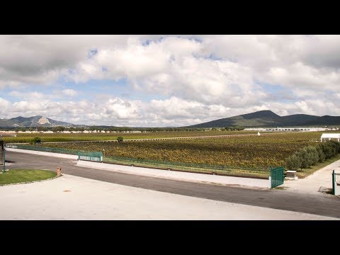 Video: Cómo Se Transporta El Vino