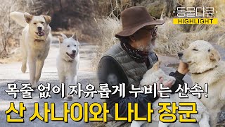 [동물극장 유튜브 오리지널] 산속을 목줄 없이 뛰어다니는 자유로운 견생⛰ 지리산 사나이와 장군, 나나  | 동물극장 단짝 EP53 | KBS 230318 방송