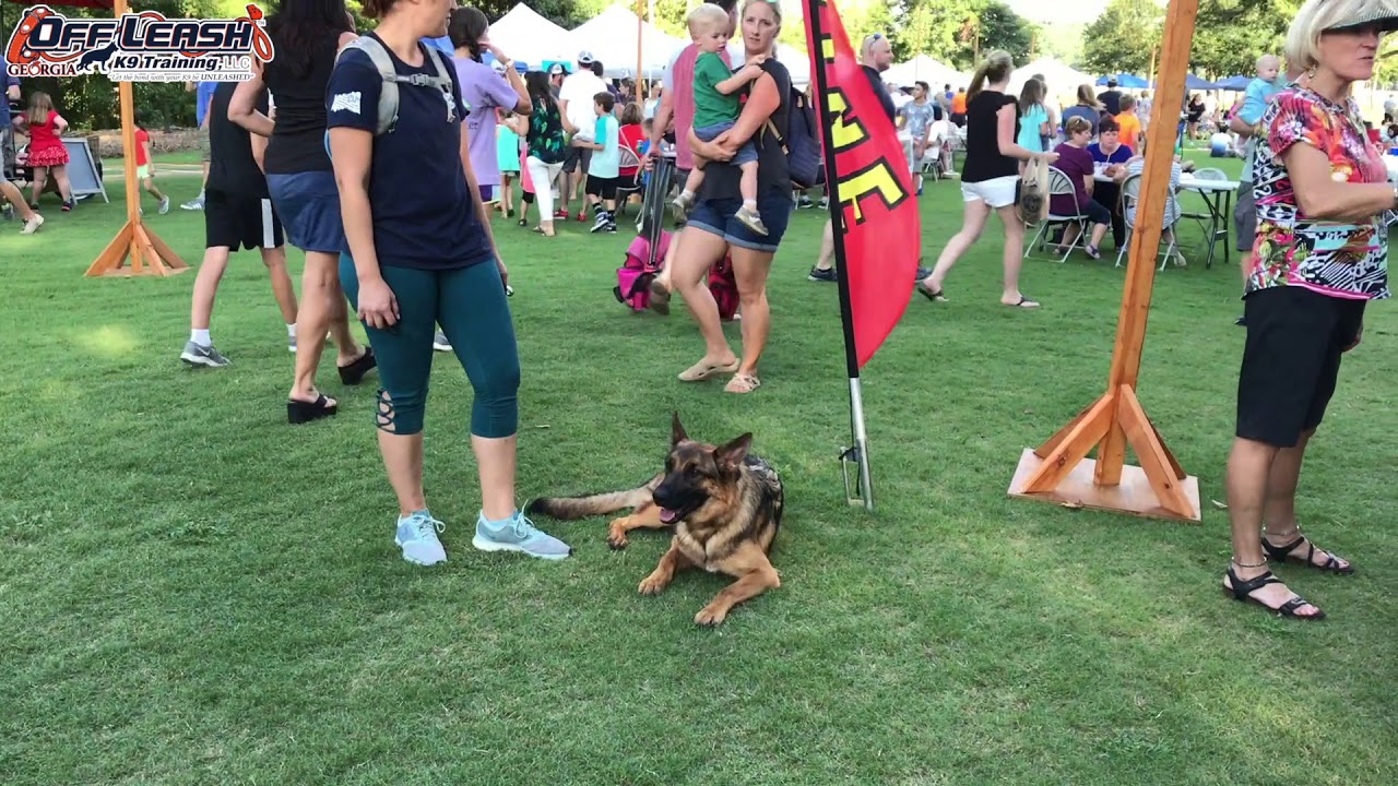 Nala Showing Off! | No Leash Needed! | OffLeashGeorgia.com