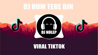 DJ HEM TERE BIN X STEREO ALONE X INDIA MASHUP TIKTOK DANY REMIX