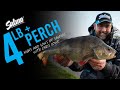 Fish high and low to find big perch