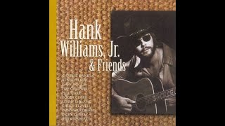 I Really Did by Hank Williams Jr