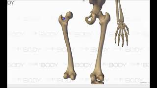 Жалаңаш қызыл шашты қалыңдықтар Әйелді алдау секс ru