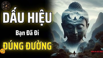 NẾU BẠN GẶP PHẢI NHỮNG DẤU HIỆU NÀYĐIỀU ĐÓ CHỨNG MINH RẰNG THỰC HÀNH CỦA BẠN ĐANG ĐI ĐÚNGBÀI VIẾT CỔ