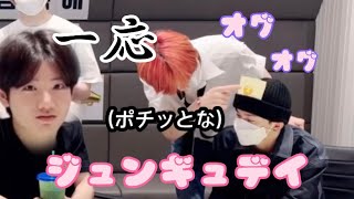 ジュンギュデイ🐨※もちろん友情出演アリ 【TREASURE 日本語字幕 VLIVE】