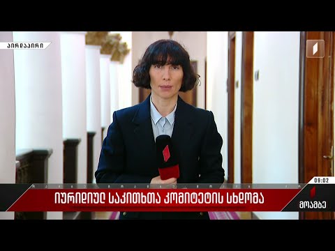 იურიდიულ საკითხთა კომიტეტის სხდომა
