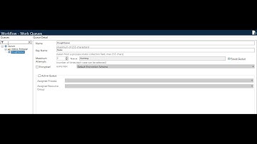 Auto Retry of Exception item | Blue Prism | Work Queue | BP Process | Learning | BP System Settings