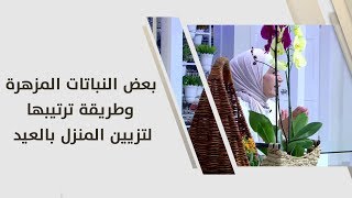 أمل القيمري - بعض النباتات المزهرة وطريقة ترتيبها لتزيين المنزل بالعيد