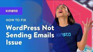 How to Fix the WordPress Not Sending Email Issue