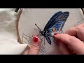 Realistic embroidery insects，Papilio protenor Cramer-2