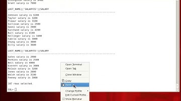 sql语言 05 使用连接符