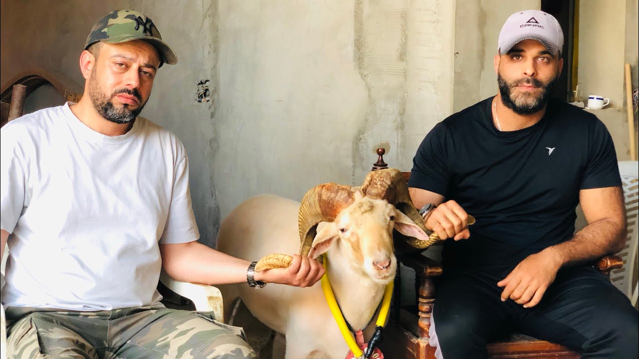 مسيرة بيناس 🐏 4 أطراح 🏆 منزل بورقيبة 🇹🇳