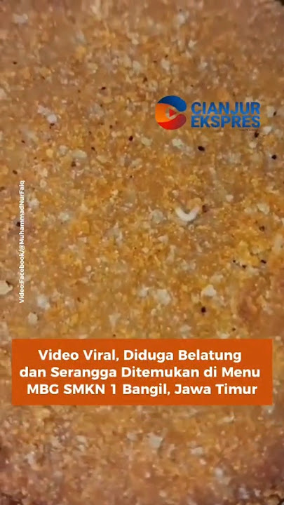 Viral Video: Alleged Maggots and Insects Found in MBG Menu at SMKN 1 Bangil, East Java