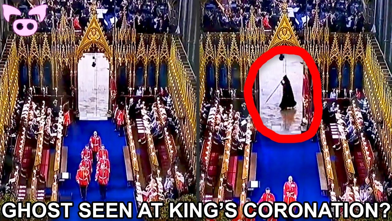 Weird Videos That Don't Seem to Make Sense