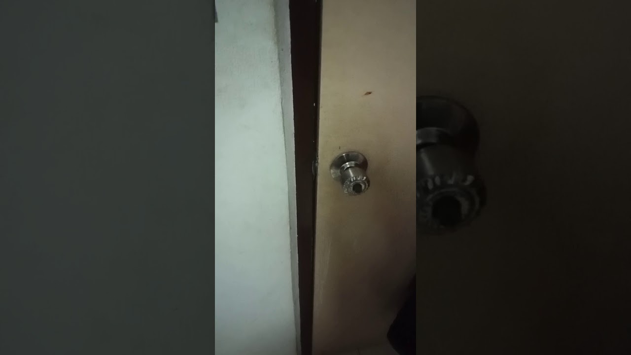  โครตหลอน เสียงแปลกๆ!!!!!