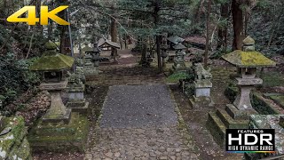 🍃 [4K Hdr] Visiting A Mysterious Japanese Shrine Lost In Nature | Hachimangu Kinomiya Shrine