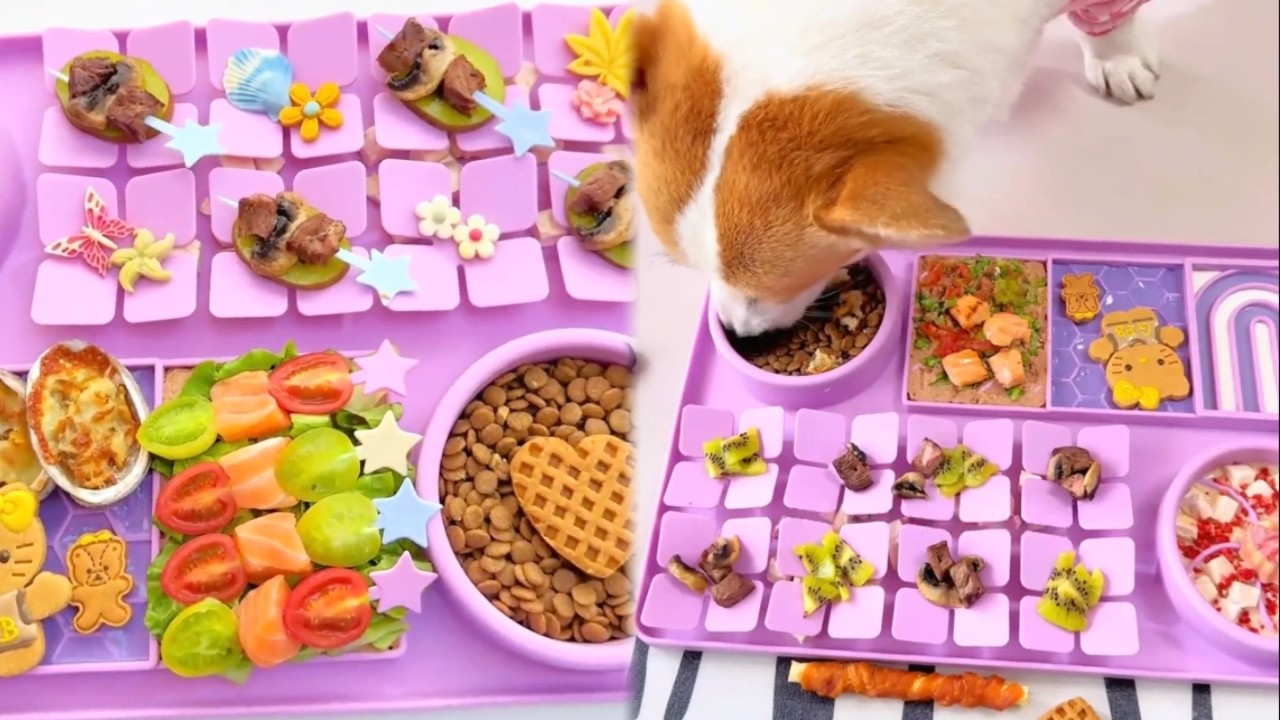 💜一口丝滑奶呼呼的芋泥厚椰乳~人能炫吗🥺 #萌宠#狗狗吃饭 #酸奶碗 #宠物配餐